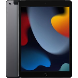 Apple iPad 9 (10.2") 2021 256gb Wi-Fi+Cellular Space Gray (серый космос)
